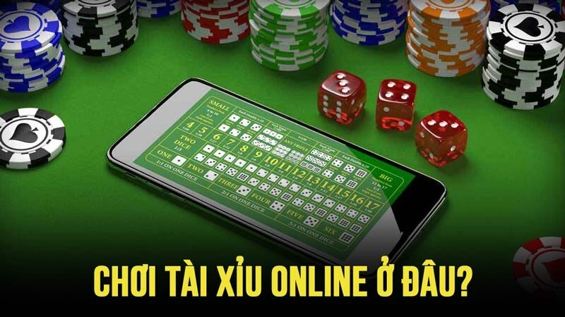 Chơi ku ở đâu: Top 6 thương hiệu hàng đầu 2024